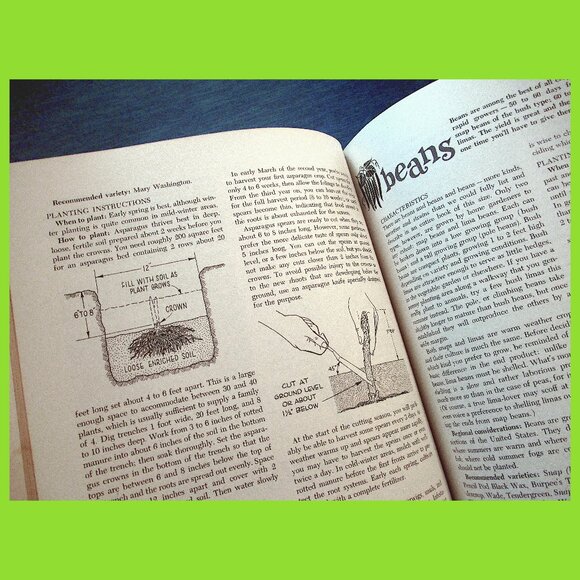 Book: Vegetable Gardening by Sunset Books, Vintage - Picture 13 of 16